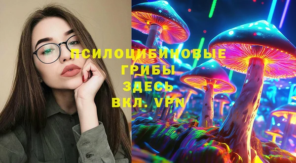 хмурый Верхний Тагил