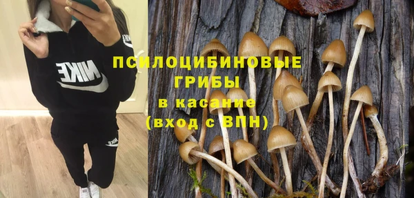 хмурый Верхний Тагил