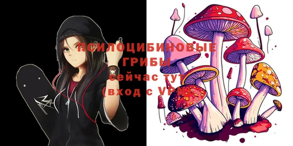 хмурый Сосновоборск