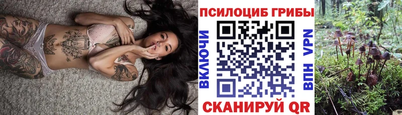 Псилоцибиновые грибы Psilocybe гидра tor Семёнов