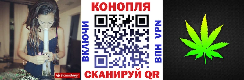 Конопля сатива  Семёнов 